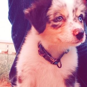 Meet your Posher, Shianne